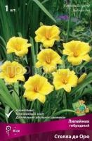 Лилейник гибридный Стелла де Оро Лилейник гибридный Стелла де Оро