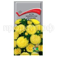 Астра-низкорослая-Желтый-ковер-0,2г-Поиск