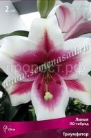 триумфатор