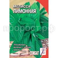 С210365 С210365