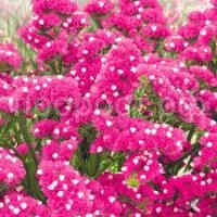 Без названия (6)