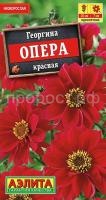 георгина опера красная