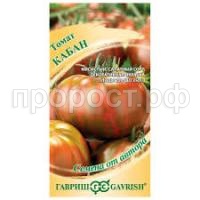 Без названия Без названия