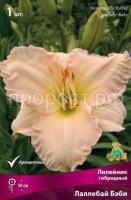 Лилейник гибридный Лаллебай Бэби