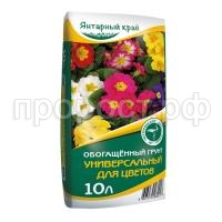 янтарный край янтарный край