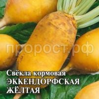 Свекла кормовая Эккендорфская желтая 0,5кг Свекла кормовая Эккендорфская желтая 0,5кг