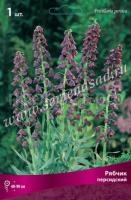 Рябчик Персидский (чёрный, 1шт, 18-20) 723276 Рябчик Персидский (чёрный, 1шт, 18-20) 723276