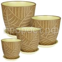 листья кор листья кор