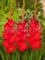 jriy2nn2svczas8n32g6apk4bc8iadfp