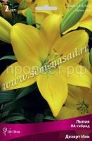 Лилия ЛА-Гибрид Дезерт Инн (14-16) 2шт 736164