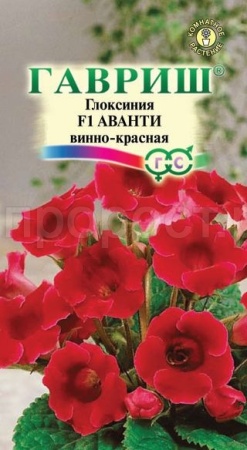 Глоксиния Аванти винно-красная 4шт Глоксиния Аванти винно-красная 4шт