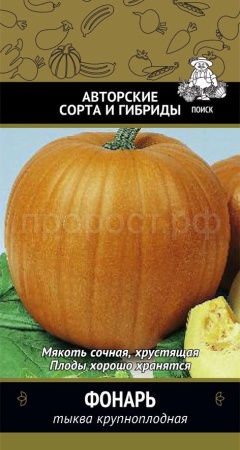 Тыква крупноплодная Фонарь 10шт  Тыква крупноплодная Фонарь 10шт