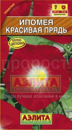 Ипомея Красивая прядь 1г