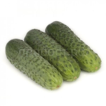 Огурец Караоке F1 100шт