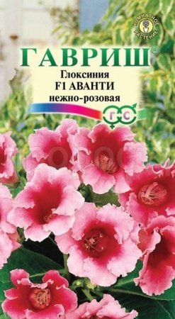 Глоксиния Аванти нежно-розовая 4шт Глоксиния Аванти нежно-розовая 4шт