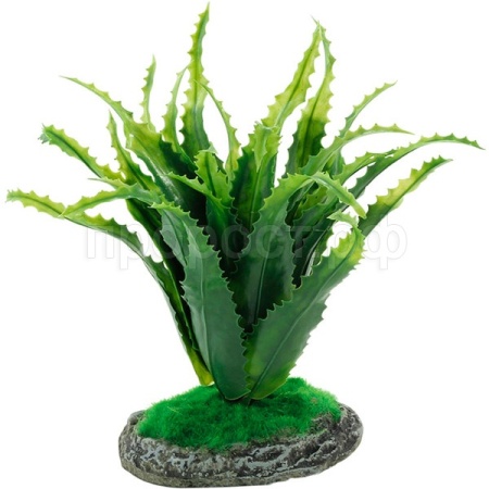 Растение Алоэ REP19002 200мм Laguna/84045032/Триол