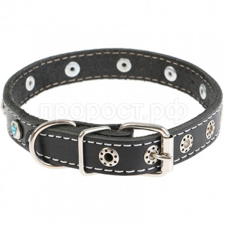 Ошейник кожа 30мм 1слойный с украшением Собака 60-62см/40892