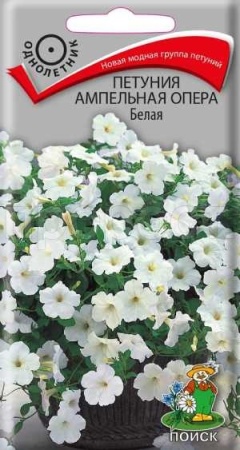 Петуния ампельная Опера Белая 5шт Петуния ампельная Опера Белая 5шт