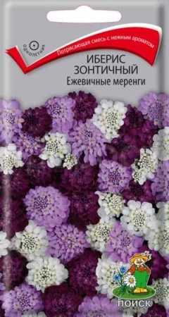 Иберис зонтичный Ежевичные меренги 0,1г Иберис зонтичный Ежевичные меренги 0,1г