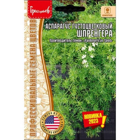 Редкие растения Аспарагус густоцветковый Шпренгера 3шт 