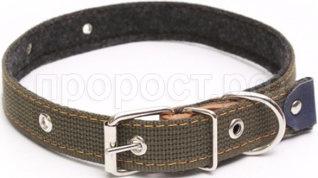 Ошейник брезентовый 25мм Н/У на фетре/180026/Бим Ошейник брезентовый 25мм Н/У на фетре/180026/Бим