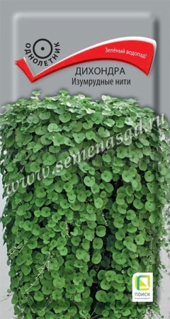 Дихондра Изумрудные нити 5шт Дихондра Изумрудные нити 5шт