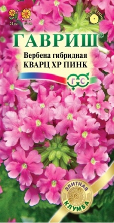 Вербена Кварц ХР Пинк 4шт Вербена Кварц ХР Пинк 4шт