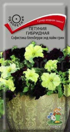 Петуния гибридная Софистика блекберри энд лайм грин 5шт Петуния гибридная Софистика блекберри энд лайм грин 5шт