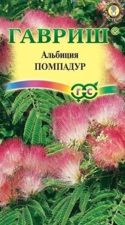 Альбиция Помпадур 3шт  Альбиция Помпадур 3шт