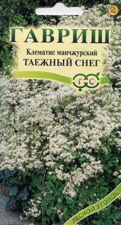 Клематис маньчжурский Таежный снег 0,05гр.  Клематис маньчжурский Таежный снег 0,05гр.