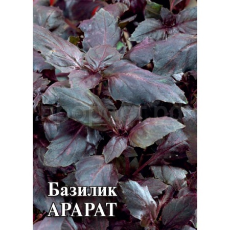 Базилик Арарарт 10 г