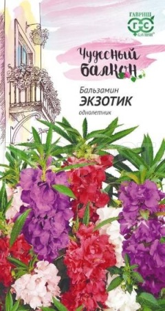 Бальзамин Экзотик карлик 0,1г  Бальзамин Экзотик карлик 0,1г