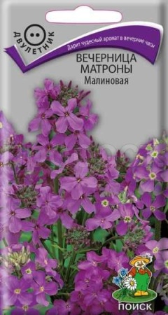 Вечерница Матроны Малиновая 0,3г Вечерница Матроны Малиновая 0,3г