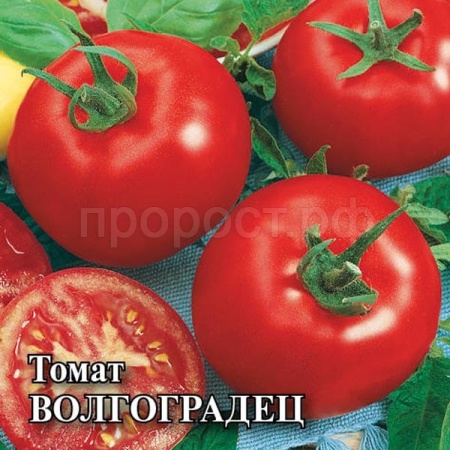 Томат Волгоградец 5 гр