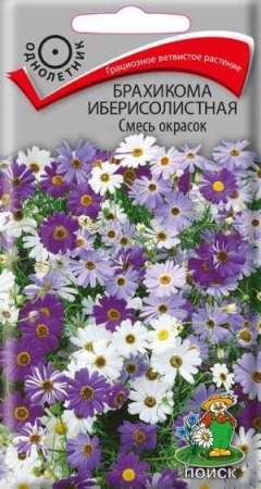 Брахикома иберисолистная Смесь окрасок 0,03г Брахикома иберисолистная Смесь окрасок 0,03г