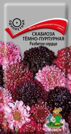 Скабиоза тёмно-пурпурная Разбитое сердце 10 шт Скабиоза тёмно-пурпурная Разбитое сердце 10 шт