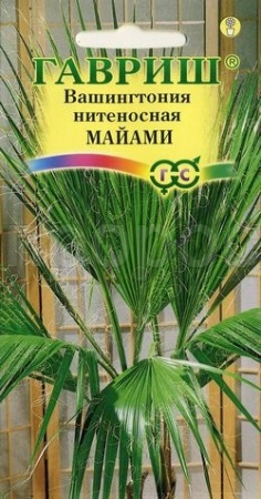 Вашингтония нитеносная Майами 3шт  Вашингтония нитеносная Майами 3шт