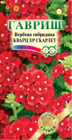 Вербена Кварц ХР Скарлет 4шт Вербена Кварц ХР Скарлет 4шт