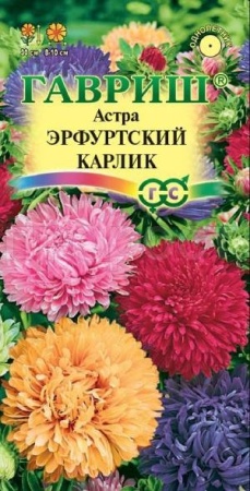 Астра Эрфуртский карлик смесь 0,3г Астра Эрфуртский карлик смесь 0,3г