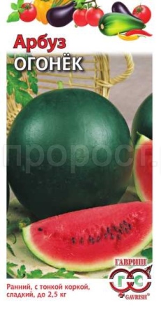 Арбуз Огонек 1г
