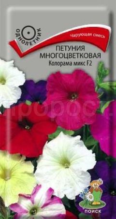 Петуния многоцветковая Колорама микс F2 0,1г Петуния многоцветковая Колорама микс F2 0,1г