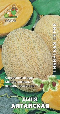 Дыня Алтайская 15шт  Дыня Алтайская 15шт