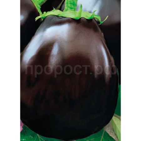 Гавриш Фермерская Баклажан Грибное удовольствие 5 гр 