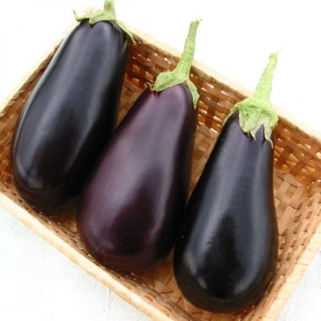 Баклажан Эпик F1 1000шт